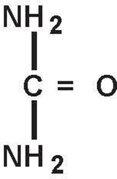 Image Description (Urea Chemical Formula V2)